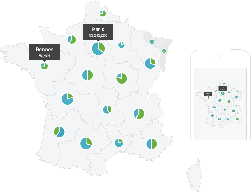 Complex map on mobile device