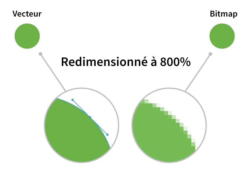 Bitmap vs. vector images